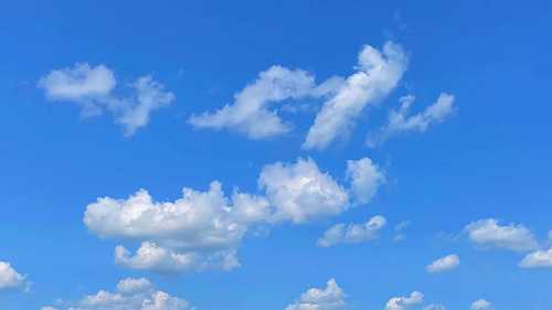 GoBlue's new app lets you track your Bluesky stats | TechCrunch