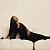 Post: #iloveblackwomen